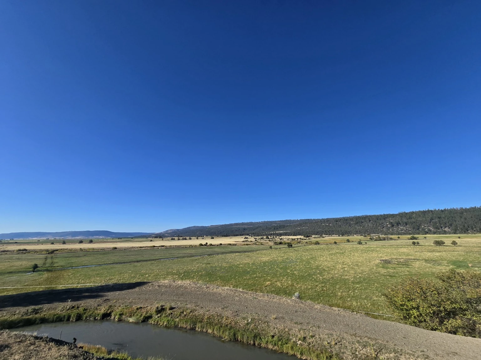 Ranch meadow with an irrigation ditch in the foreground and wooded hills beyond